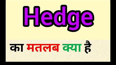meaning of hedge in hindi|Hindi Translation of “HEDGE” .